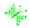 bflyc6r.gif - 1.5 K