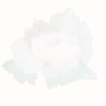 f3.jpg - 1.9 K