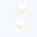 f4.jpg - 2.2 K