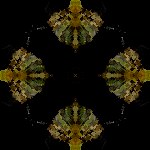 f7.jpg - 7.0 K